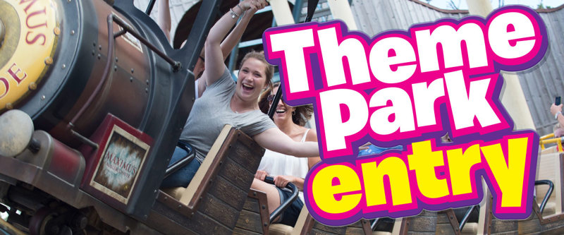 Theme Park Entry